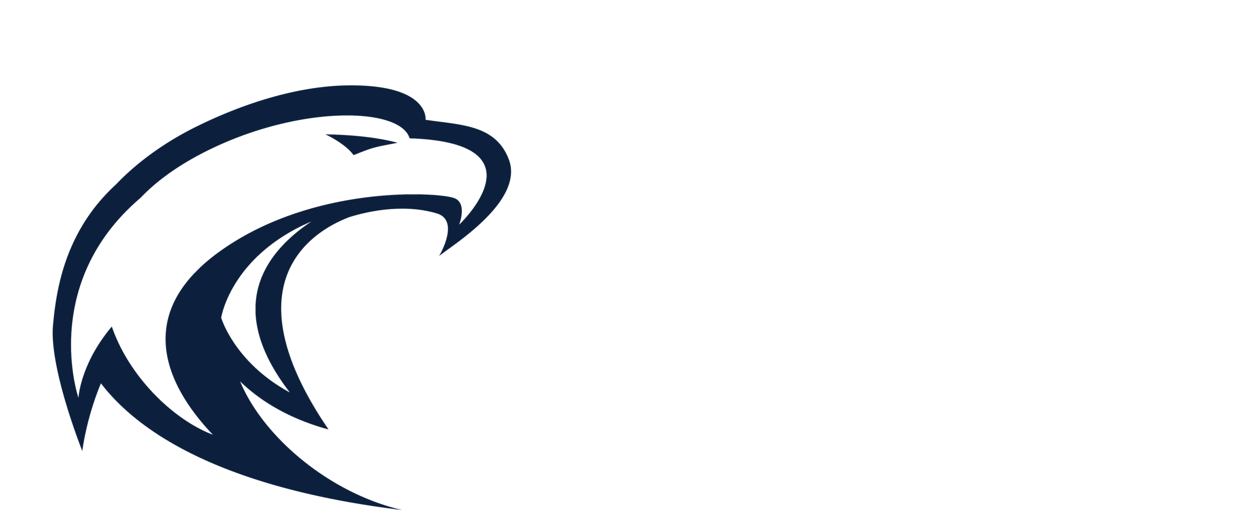 USA Strapping